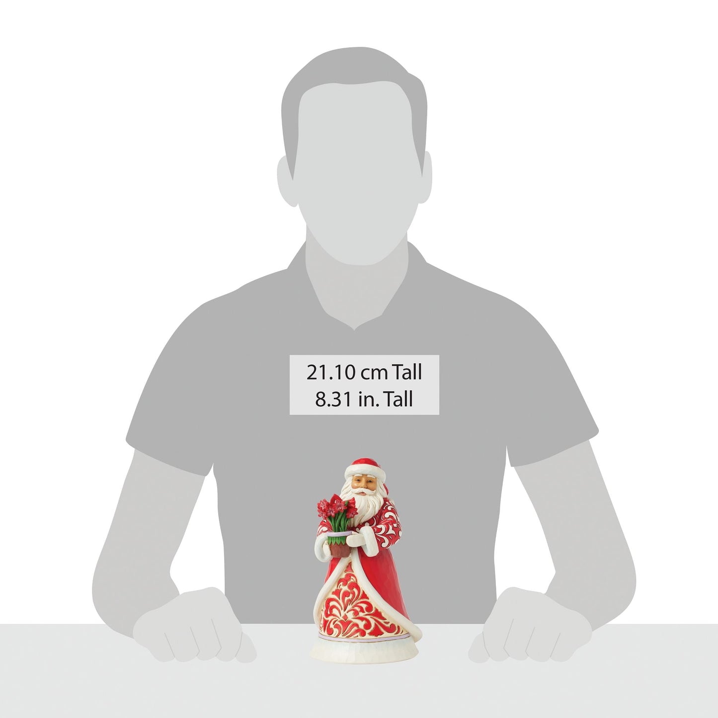 Santa with Blooming Amaryllis