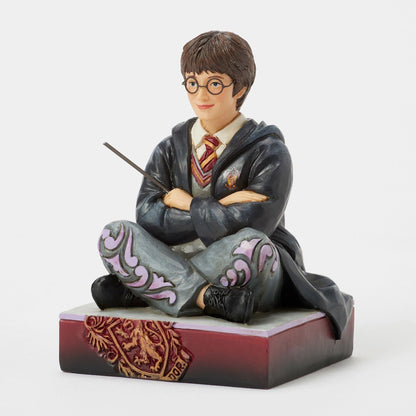 Harry Potter with Wand
