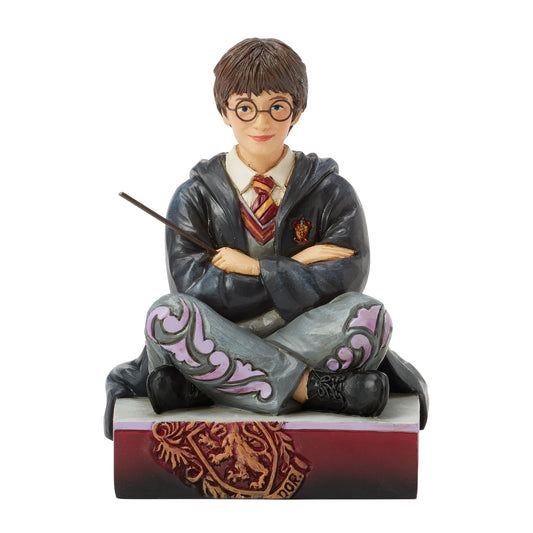 Harry Potter with Wand