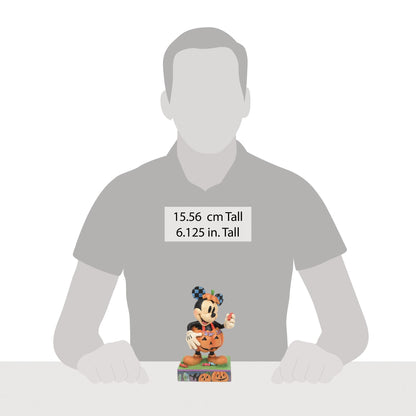 Mickey Pumpkin Costume