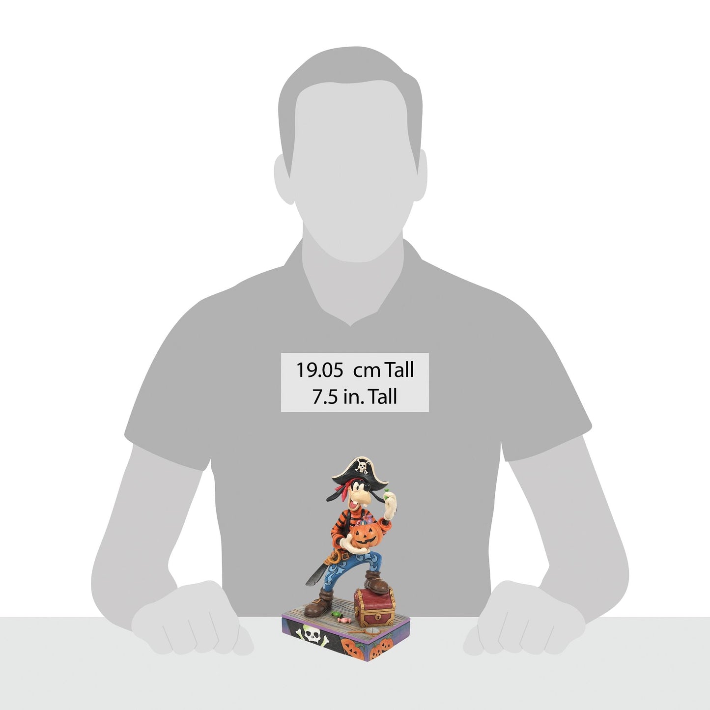 Goofy Pirate Costume