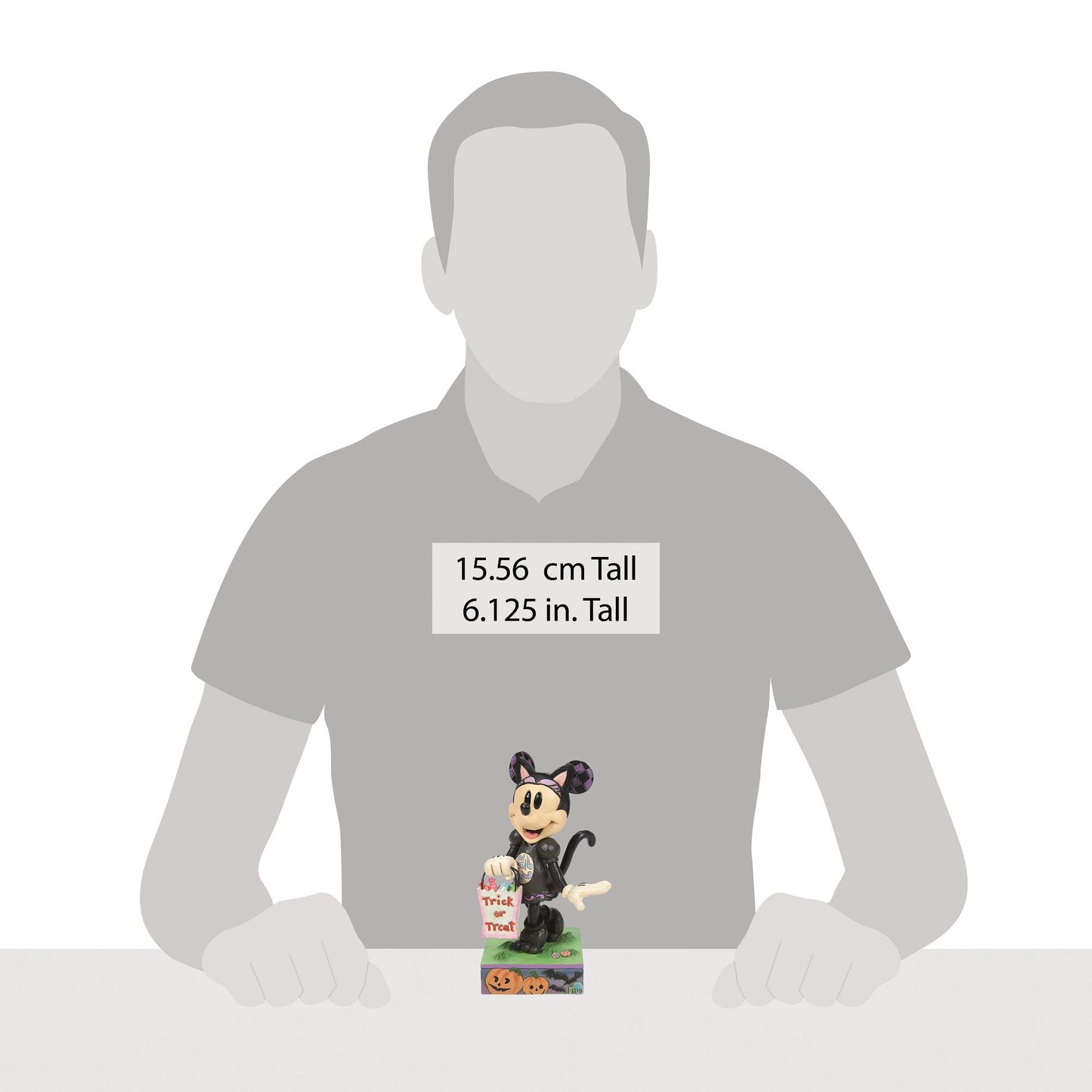 Minnie Black Cat Costume