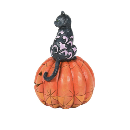 Black Cat on Pumpkin LED Fig
