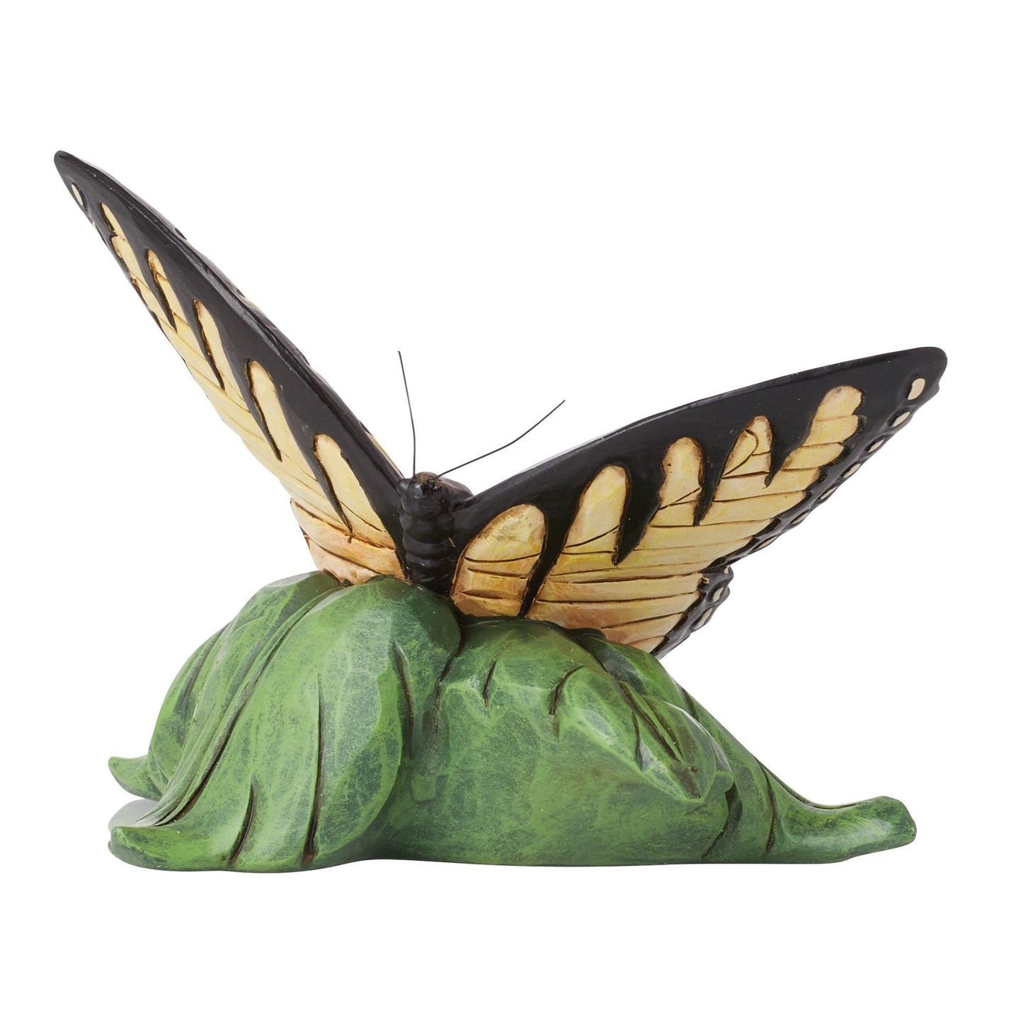Mini Swallowtail Butterfly Fig
