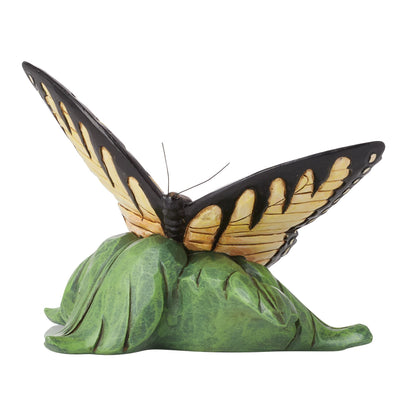 Mini Swallowtail Butterfly Fig